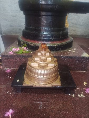 WhatsApp Image 2022-01-24 at 18.30.58.jpeg