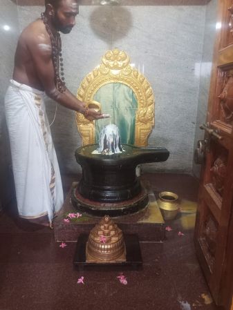 WhatsApp Image 2022-01-24 at 18.31.57.jpeg