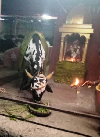 WhatsApp Image 2022-01-24 at 18.47.59.jpeg