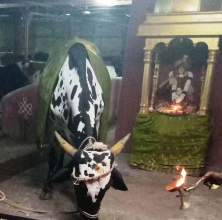 WhatsApp Image 2022-01-24 at 18.47.59 (1).jpeg