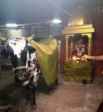 WhatsApp Image 2022-01-24 at 18.48.00.jpeg