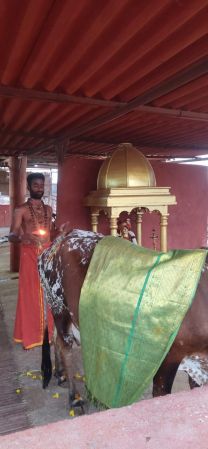 WhatsApp Image 2022-01-25 at 23.24.09 (3).jpeg