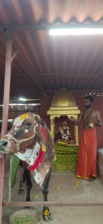 WhatsApp Image 2022-01-25 at 23.24.11.jpeg