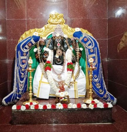 WhatsApp Image 2022-01-26 at 19.04.11.jpeg