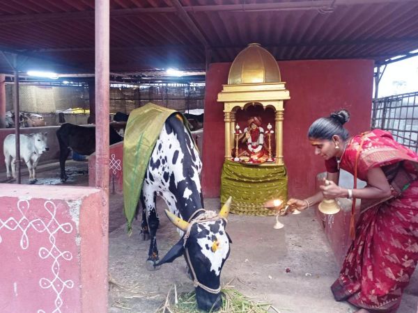 WhatsApp Image 2022-01-26 at 20.05.31.jpeg