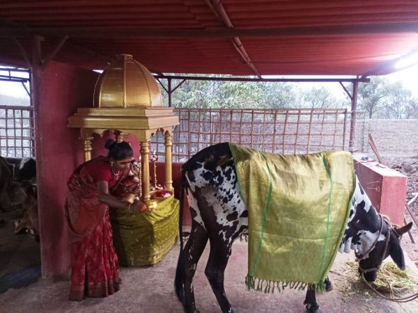 WhatsApp Image 2022-01-26 at 20.05.47.jpeg