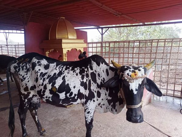 WhatsApp Image 2022-01-26 at 20.05.52.jpeg