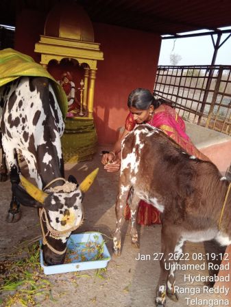 WhatsApp Image 2022-01-27 at 08.35.23.jpeg