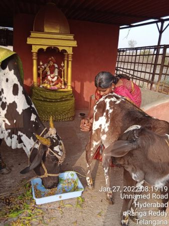 WhatsApp Image 2022-01-27 at 08.35.23 (1).jpeg