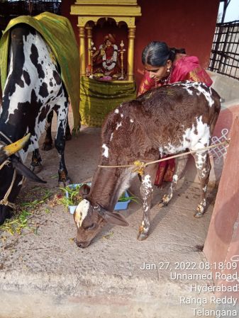 WhatsApp Image 2022-01-27 at 08.35.24.jpeg