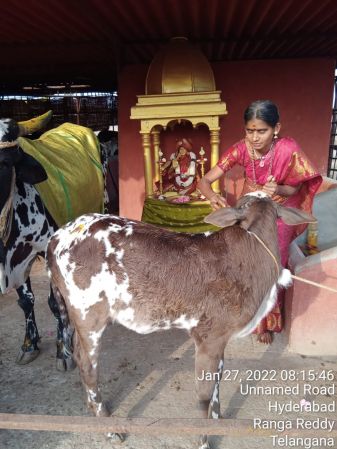 WhatsApp Image 2022-01-27 at 08.35.26.jpeg