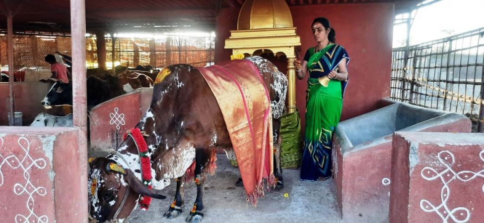 WhatsApp Image 2022-01-29 at 17.53.41.jpeg