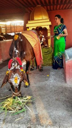 WhatsApp Image 2022-01-29 at 17.53.42.jpeg