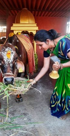 WhatsApp Image 2022-01-29 at 17.53.43.jpeg