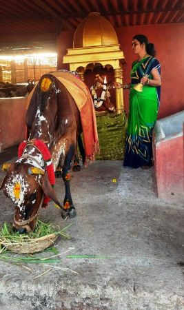 WhatsApp Image 2022-01-29 at 17.53.44 (1).jpeg