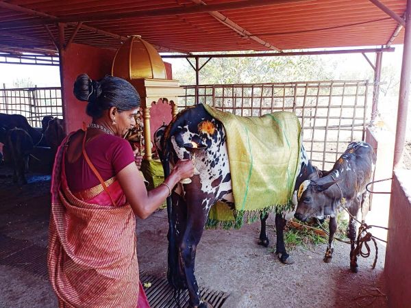 WhatsApp Image 2022-01-31 at 11.23.29 (1).jpeg