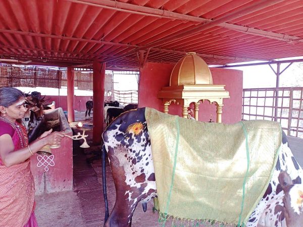 WhatsApp Image 2022-01-31 at 11.23.31.jpeg