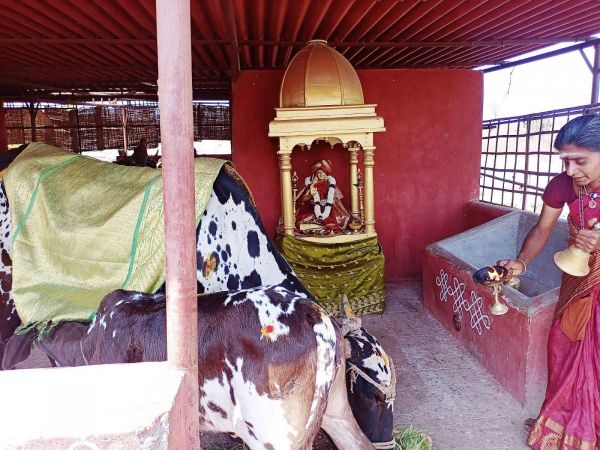 WhatsApp Image 2022-01-31 at 11.23.32.jpeg