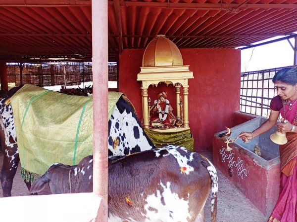 WhatsApp Image 2022-01-31 at 11.23.33 (1).jpeg