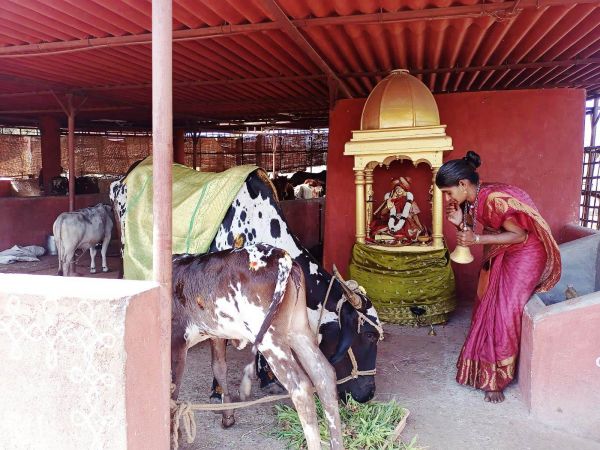 WhatsApp Image 2022-01-31 at 11.23.34 (1).jpeg