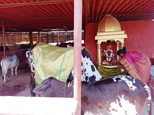 WhatsApp Image 2022-01-31 at 11.23.34 (2).jpeg