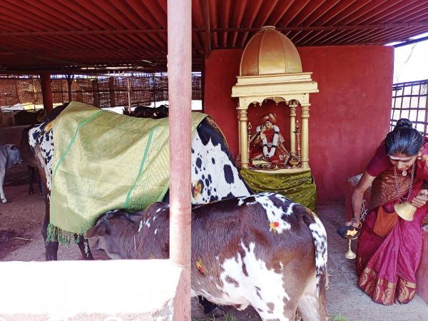 WhatsApp Image 2022-01-31 at 11.23.34 (3).jpeg