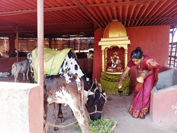 WhatsApp Image 2022-01-31 at 11.23.35.jpeg