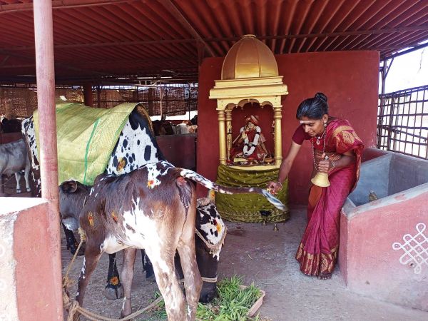 WhatsApp Image 2022-01-31 at 11.23.36.jpeg