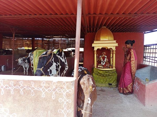 WhatsApp Image 2022-01-31 at 11.23.38.jpeg