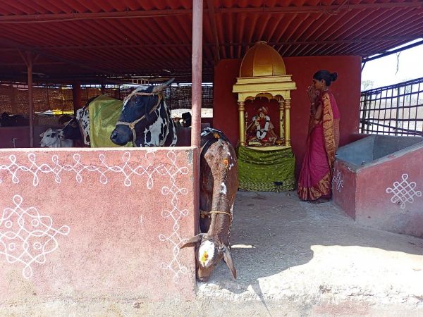 WhatsApp Image 2022-01-31 at 11.23.38 (2).jpeg