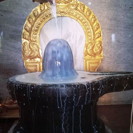 WhatsApp Image 2022-01-31 at 16.54.15 (1).jpeg