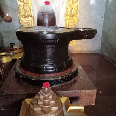 WhatsApp Image 2022-01-31 at 16.54.17.jpeg