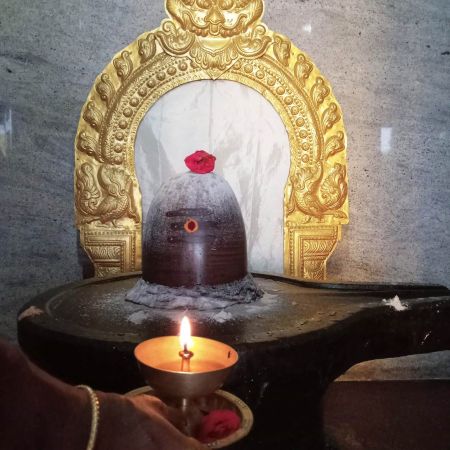 WhatsApp Image 2022-01-31 at 16.54.19 (1).jpeg