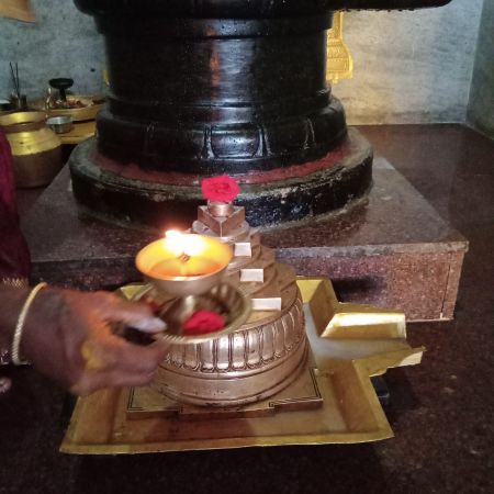 WhatsApp Image 2022-01-31 at 16.54.20.jpeg