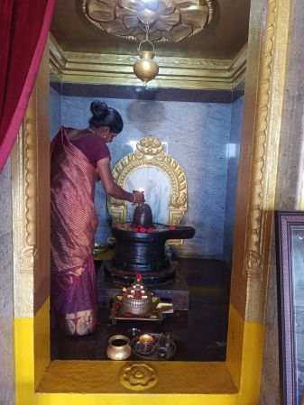 WhatsApp Image 2022-01-31 at 16.55.05.jpeg