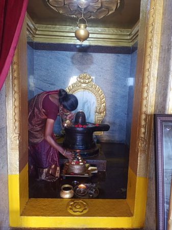 WhatsApp Image 2022-01-31 at 16.55.09.jpeg