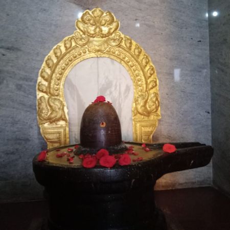 WhatsApp Image 2022-01-31 at 16.59.25.jpeg