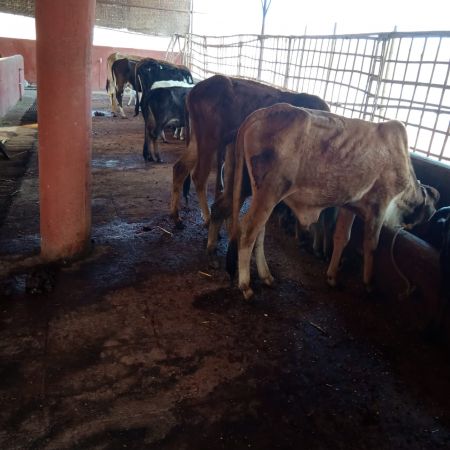 WhatsApp Image 2022-02-03 at 10.22.45.jpeg