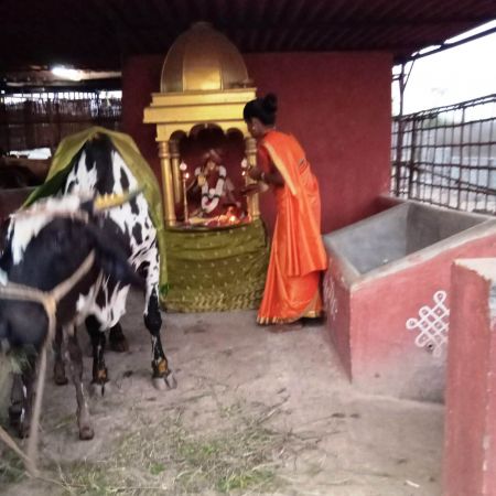 WhatsApp Image 2022-02-03 at 19.31.47.jpeg