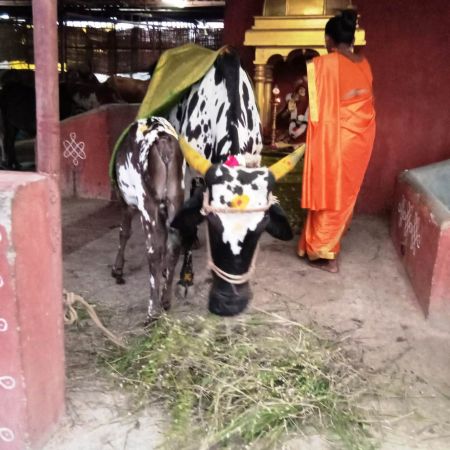 WhatsApp Image 2022-02-03 at 19.31.49.jpeg