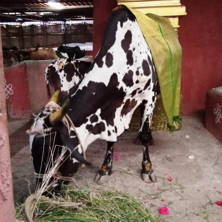 WhatsApp Image 2022-02-03 at 19.31.50 (1).jpeg