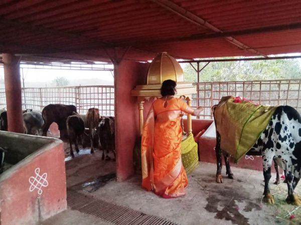 WhatsApp Image 2022-02-04 at 18.23.49 (1).jpeg