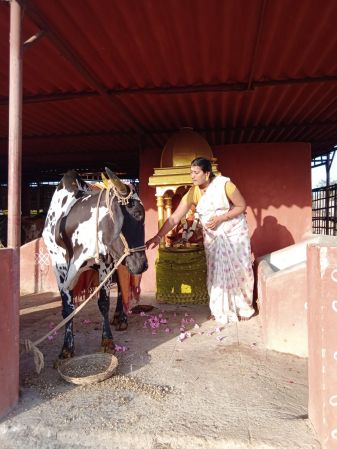 WhatsApp Image 2022-02-05 at 14.56.36.jpeg