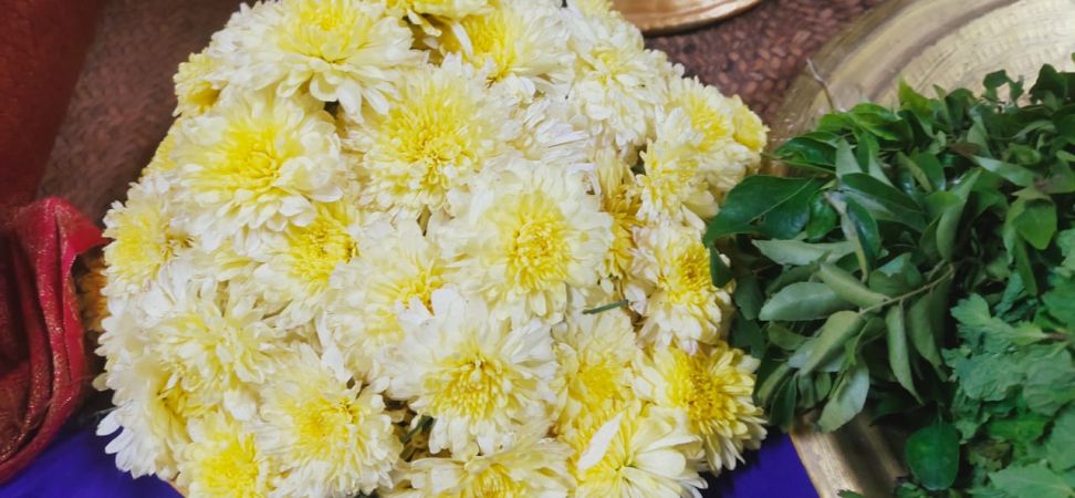 WhatsApp Image 2022-02-08 at 05.46.09 (1).jpeg