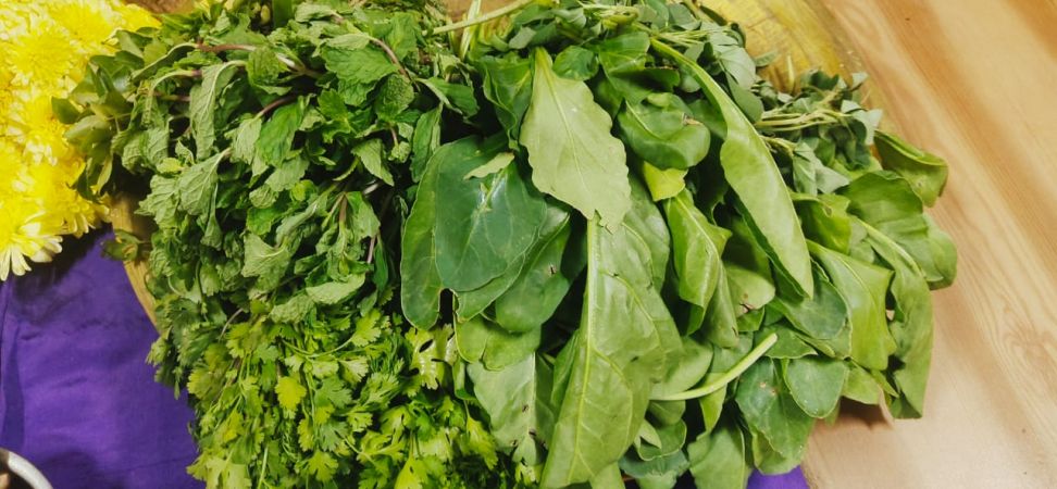 WhatsApp Image 2022-02-08 at 05.46.10.jpeg