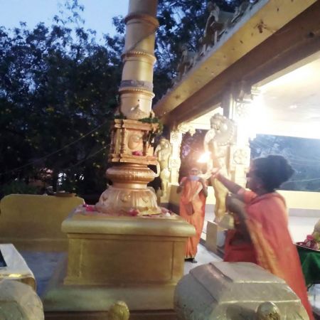 WhatsApp Image 2022-02-08 at 06.56.38.jpeg