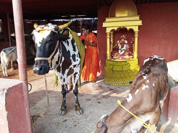 WhatsApp Image 2022-02-08 at 15.52.57.jpeg