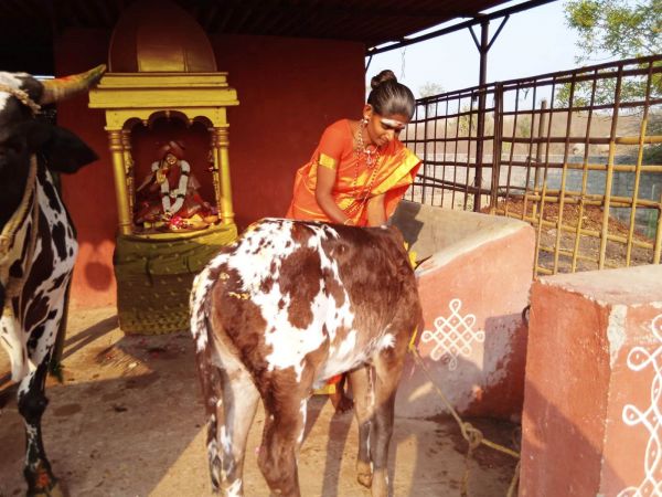 WhatsApp Image 2022-02-08 at 15.56.19.jpeg