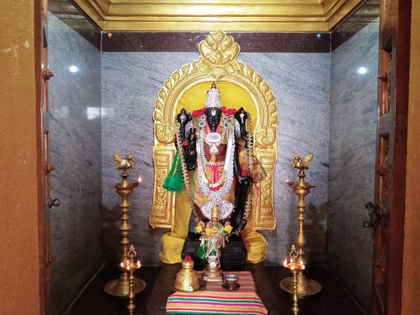 WhatsApp Image 2022-03-12 at 09.12.24.jpeg