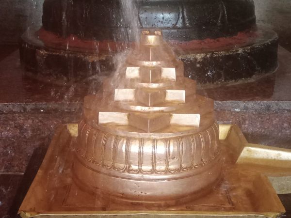 WhatsApp Image 2022-03-14 at 09.13.50.jpeg